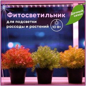 Фитосветильник линейный, лампа для рассады, для растений, фитолампа 10вт, 570мм, подсветка для растений.