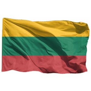Флаг Литвы на флажной сетке, 70х105 см - для флагштока