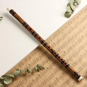 Флейта Music Life 48 см, бамбук, тональность E (комплект из 2 шт)