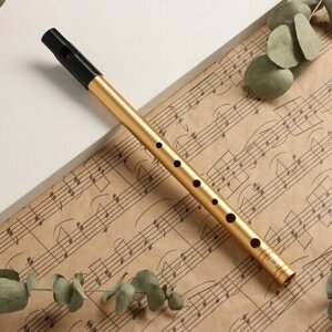 Флейта Music Life D, золотая, 30 см (комплект из 3 шт)
