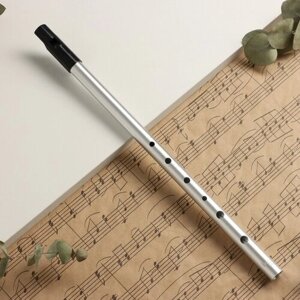 Флейта Music Life В, серебристая, 37,5 см