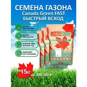 Газонная трава семена Канада Грин Быстрорастущий FAST 15 кг/ мятлик, райграс, овсяница семена для газона