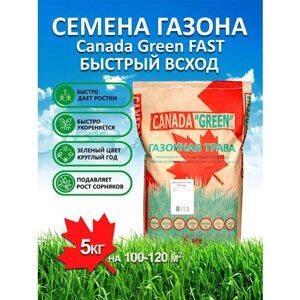 Газонная трава семена Канада Грин Быстрорастущий FAST 5 кг/ мятлик, райграс, овсяница семена для газона