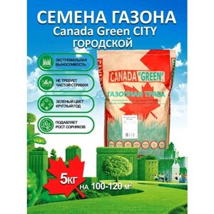 Газонная трава семена Канада Грин Городской CITY 5 кг/ мятлик, райграс, овсяница семена для газона