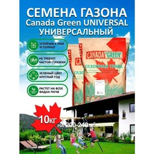 Газонная трава семена Канада Грин Универсальный Universal 10 кг/ райграс, тимофеевка, овсяница семена газона