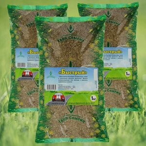 Газонная травосмесь (семена) Быстрый 3кг , может использоваться для подсева, ремонта изреженных газонов , 3 упаковки * 1кг