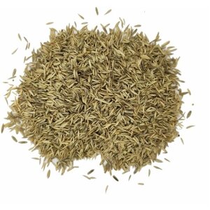 Газонная травосмесь (семена) Евро-Ремонт 0,1 кг для восстановления травостоя , задернения проплешин