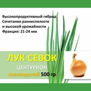 Голландский лук севок Центурион 0,5 кг желтый