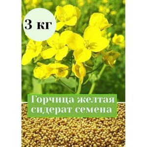 Горчица желтая семена сидерат 3 кг