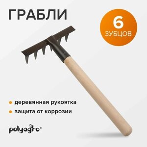 Грабли садовые штыревые витые стальные, с деревянным черенком, Polyagro