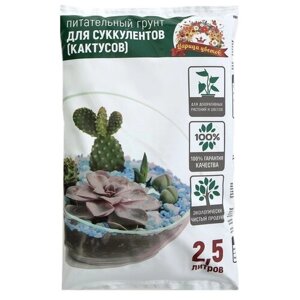 Грунт Царица Цветов для суккулентов, 2.5 л, 2.5 кг, 3 шт.