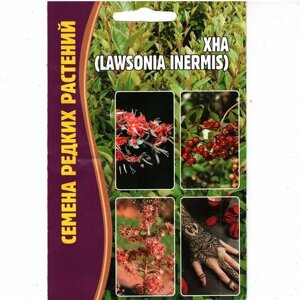 Хна LAWSONIA INERMIS (Лавсония) , многолетнее дерево ( 1 уп: 10 семян )
