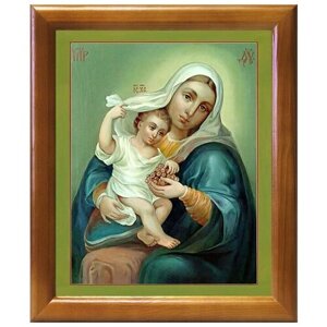 Икона Божией Матери "Покрывающая" Домодедовская, в рамке 17,5*20,5 см