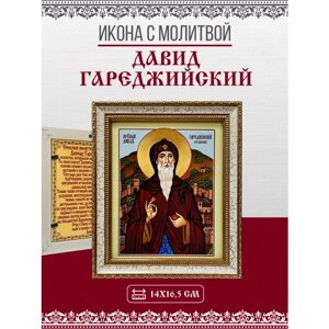 Икона Давид Гареджийский, Преподобный с молитвой, 14х17см