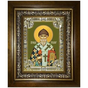 Икона Спиридон Тримифунтский святитель, 18х24 см, в окладе и киоте