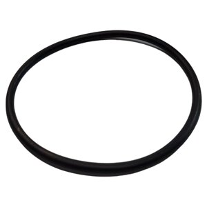 INTEX 11515 Уплотнительное кольцо для титанового электрода ( 2 шт )