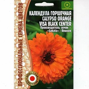 Календула горшечная Calypso orange visa black cetnter ( 1 уп: 5 семян )