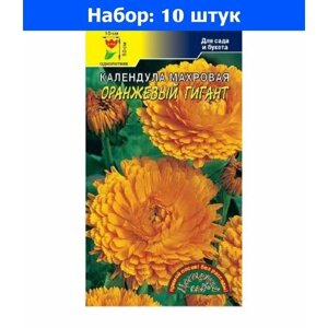 Календула Оранжевый гигант махровая 0.3г Одн 50см (Цвет сад) - 10 пачек семян