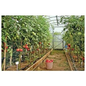Капельная эмиттерная лента 25 метров шаг 50 см 8 Mills полива томатов Tuboflex многолетняя