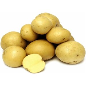 Картофель "Джувел" в сетке 2 кг, защищенный от вирусов, с отличным картофельным ароматом и содержанием крахмала 13%Высокая устойчивость к болезням