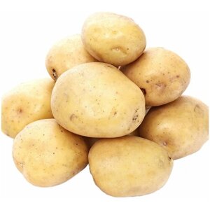Картофель "Коломбо" 2 кг в сетке, высокоурожайный, с мелкими глазками, срок созревания 70-80 дней, идеально подходит для механического способа сборки