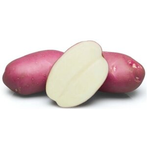 Картофель Розара, мешок 2 кг, семенной, отличный гарнир, для посева и получения хорошего урожая в зонах рискованного земледелия
