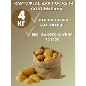 Картофель семенной "Импала" 4 кг
