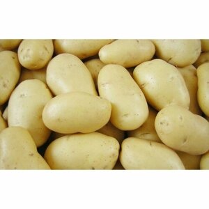 Картофель семенной Крепыш (2 кг)