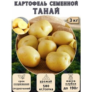 Картофель семенной на посадку Танай (суперэлита) 3 кг Среднеранний