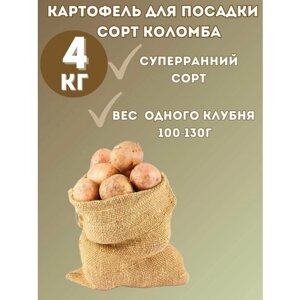 Картофель семенной сорт Коломба 4 кг