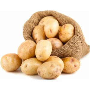 Картофель семенной сорта "Джувел" в сетке 2 кг, цвет желтый, неразвариваемый. Обладает отличными вкусовыми качествами. Высокая урожайность