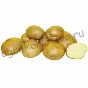 Картофель семенной Жуковский ранний (2 кг)