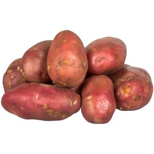 Картофель сорта Беллароза, 2 кг в сетке , класса Люкс, семенной тип селекционный высшего качества с премиальным вкусом, репродукция Супер Элита