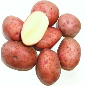 Картофель сорта "Розара", в сетке 2 кг, семенной скороспелый, для посадки. Обладает отличным вкусовыми качествами. Клубни ровные и крепкие