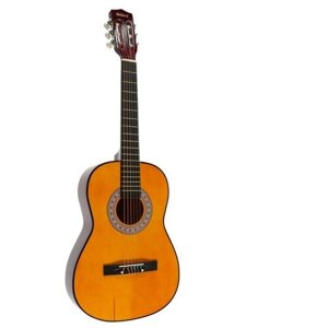 Классическая гитара Belucci BC3605 OR