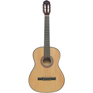 Классическая гитара Terris TC-3901A NA натуральный