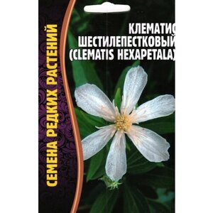 Клематис шестилепестковый Clematis hexapetala, семена многолетних цветов ( 1 уп: 10 семян )