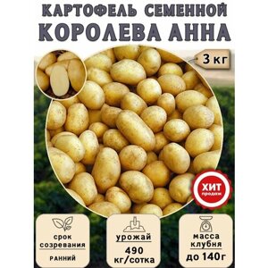 Клубни картофеля на посадку, Королева Анна, суперэлита) 3 кг Ранний