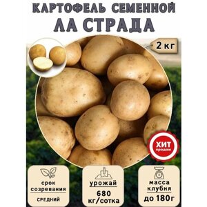 Клубни картофеля на посадку Ла Страда (суперэлита) 2 кг Средний