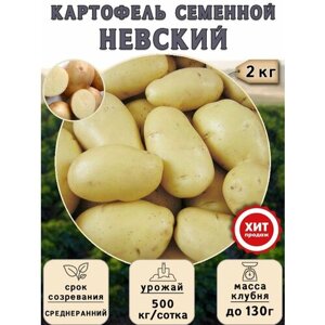 Клубни картофеля на посадку Невский (суперэлита) 2 кг Среднеранний