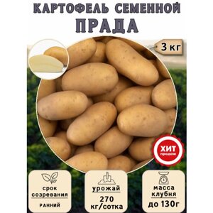 Клубни картофеля на посадку Прада (Суперэлита) 3 кг Ранний