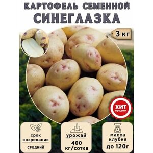 Клубни картофеля на посадку Синеглазка (суперэлита) 3 кг Средний