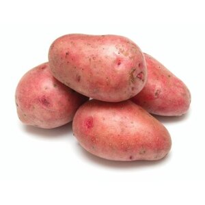 Клубни картофеля сорта " Беллароза" семенной, в сетке 2 кг, для посадки высочайшего качества, обладает устойчивостью к большинству болезней