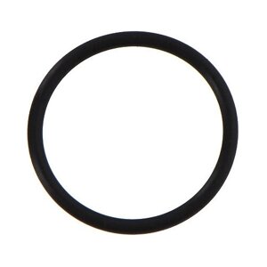 Кольцо круглого сечения 17,0 х 1,5 для приспособления для чистки плоских поверхностей KARCHER FR (2.642-999.0)