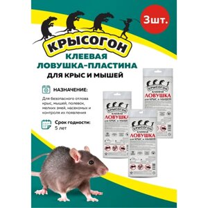 Комплект Крысогон Клеевая ловушка-пластина для мышей и крыс, 3 шт