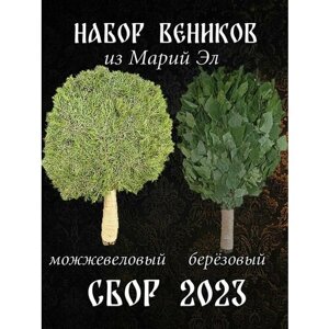 Комплект веников для бани, можжевельник 1 штука и береза 1 штука из Марий Эл