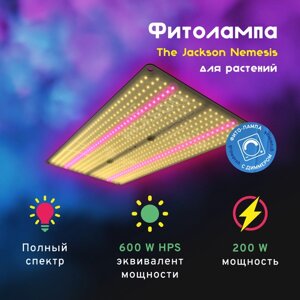 LED лампа The Jackson Nemesis 200W с диммером
