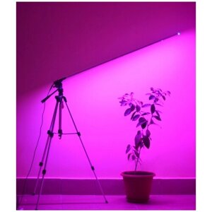 LED светильник для растений на штативе "Везен" с лучом 110 см