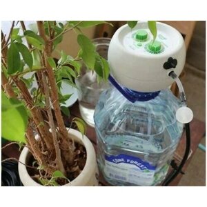 Лейка чудо поливалка Green GA-014 автомат для полива домашних цветов и растений