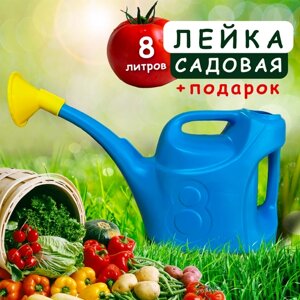 Лейка садовая с насадкой 8л синяя